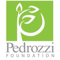 Pedrozzi Foundation
