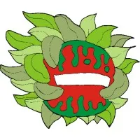 Rewild.Earth Rewild.Earth