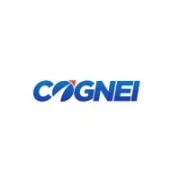 Cognei Tech Services Private Limited