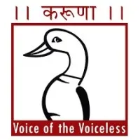 Karuna Foundation Trust - Animal Helpline, Rajkot