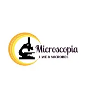 Microscopia IWM