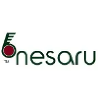 Nesaru Consulting