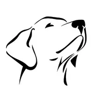 Labrador Energy