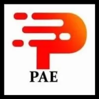 PAE Controls PAE Controls