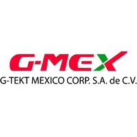 G-Tekt Mexico Corp S.A. DE C.V.