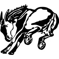 Muleshoe High School