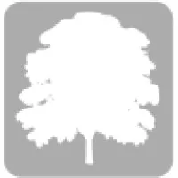 SilverTree