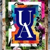 The University of Akron The University of Akron