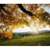 Cognitive Health Network