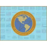 Ameripols IT services