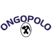 Ongopolo Mining Limited