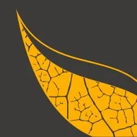 LeafyCode International