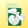 Landscape Images Ltd.