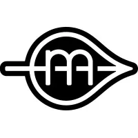 Modern Salon Services