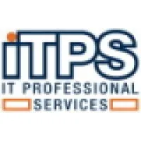 IT Professional Services