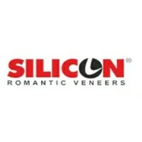 Silicon Veneer