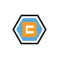 BriComp IT Consulting Services