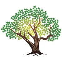 Cottonwood Capital Advisors