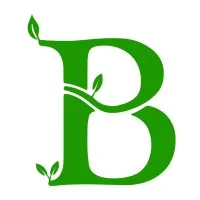 Baboolsoft