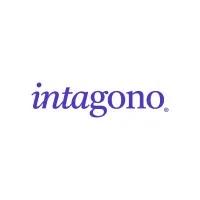 Intagono: Digital Agency