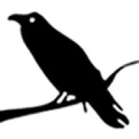 A Little Bird, LLC