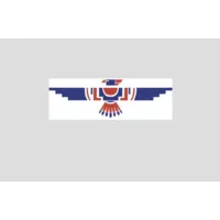 Thunderbird Environmental LLC