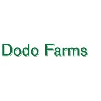 Dodo Farms Dodo Farms