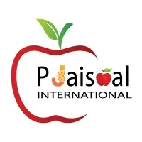 P Jaiswal International