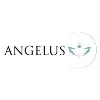 INVERSIONES ANGELUS HEALTH, C.A.