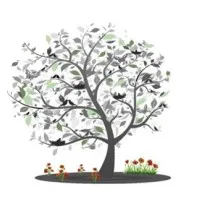 Mosquito Creek Foundation