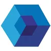 Paragon Digital Services Paragon Digital Services