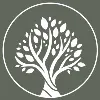 The Life Properties The Life Properties
