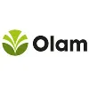 Olam Olam