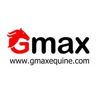 Gmax Technology Ltd
