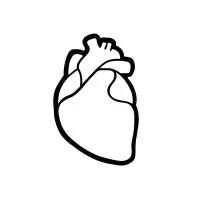 Mitchell Vincent Collection Ltd. Mitchell Vincent Collection Ltd.