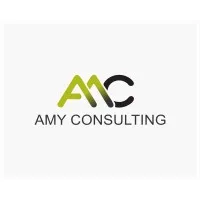 Amy Consulting email format