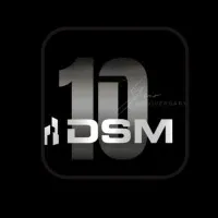 DSM Property Services LLC