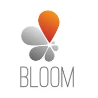 Bloom Consulting Group Bloom Consulting Group