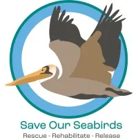 Save Our Seabirds Save Our Seabirds