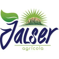 Jalser 