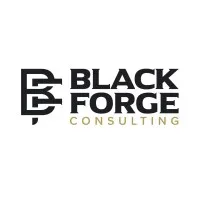 Black Forge Consulting Black Forge Consulting