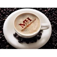 Michels & Hanley CPAs, LLP