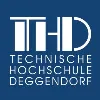 Deggendorf Institute of Technology Deggendorf Institute of Technology