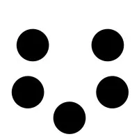 polydatum