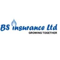 BS Insurance Limited BS Insurance Limited