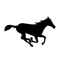 Thoroughbred Wellness and Recovery