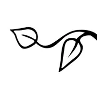 Cornerspring Montessori School Cornerspring Montessori School