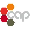 Capital Advisory Partners Pty Ltd Capital Advisory Partners Pty Ltd
