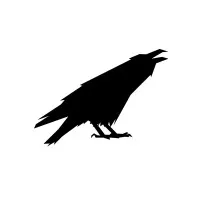 PsychoRavens PsychoRavens