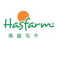 Hasfarm China